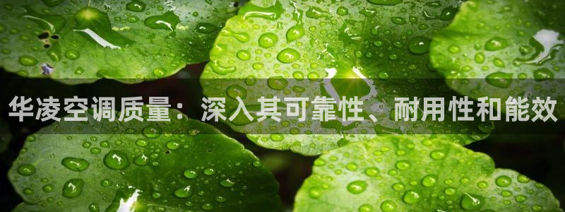 环球360官网最新网站