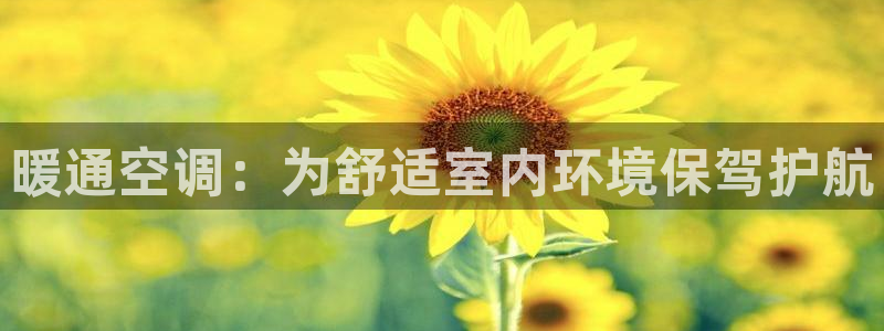 环球360买分一比一
