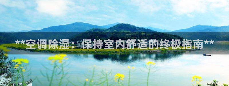 环球360官网会员注册不了怎么回事