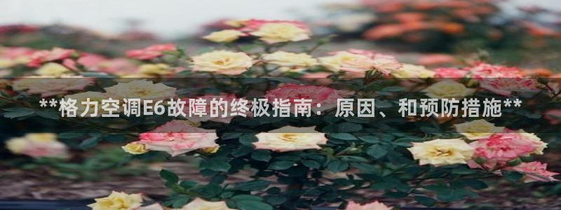环球360管理网代理