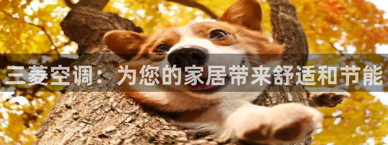 环球360一比一买分