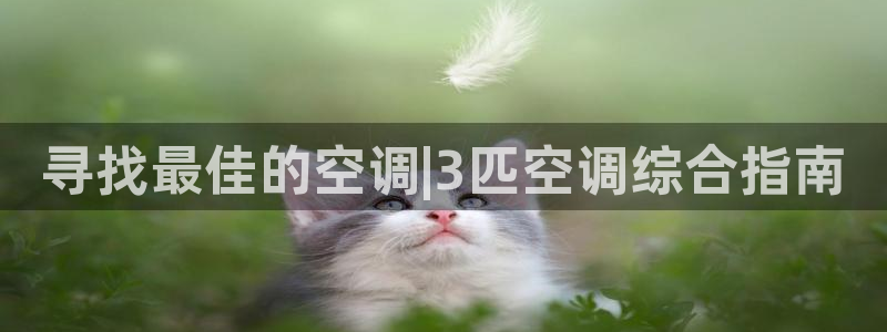 环球360官网手机版网址