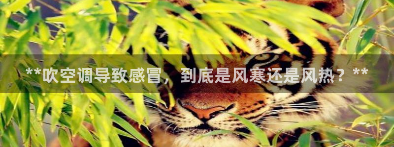 环球360官网会员