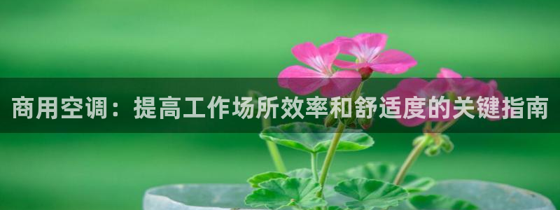 环球360真假