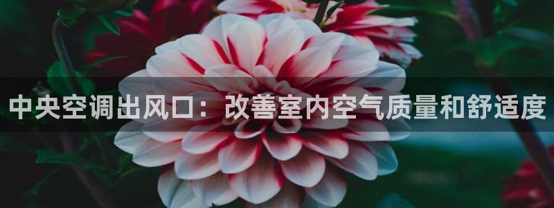 环球360有假吗