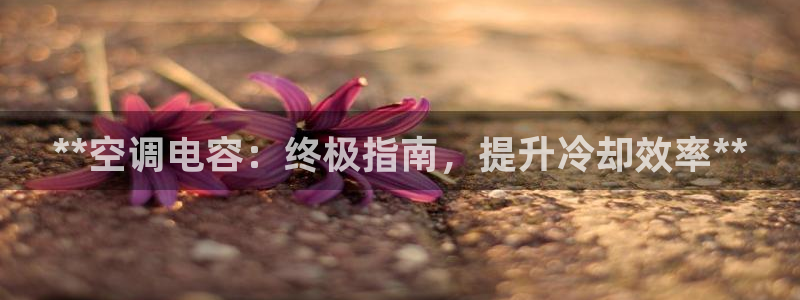 菲律宾环球360假