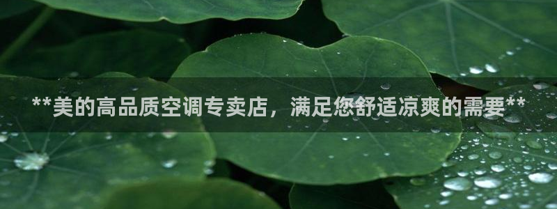 菲律宾环球360管理