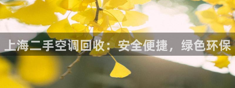 环球360如何买分