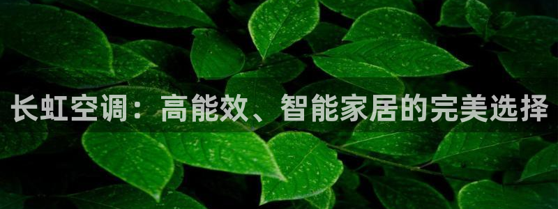 环球360手机版