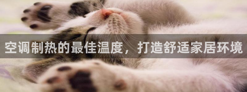 环球360会员登录官网