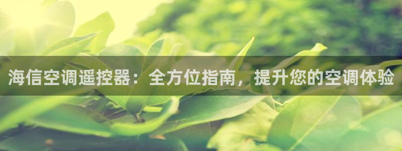环球360官网会员注册不了怎么办