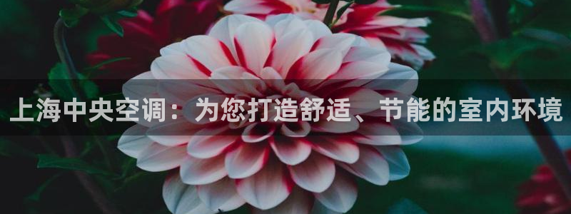 环球360官网手机版下载安装苹果