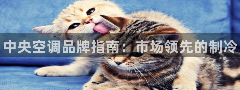 环球360一比一买分
