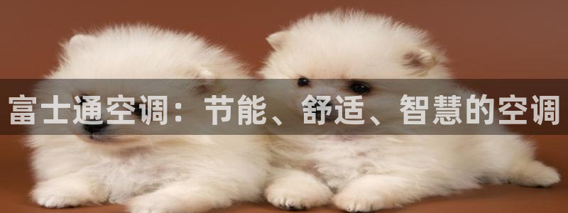 环球360手机版登录