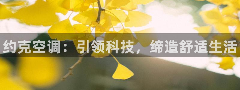 菲律宾环球360假