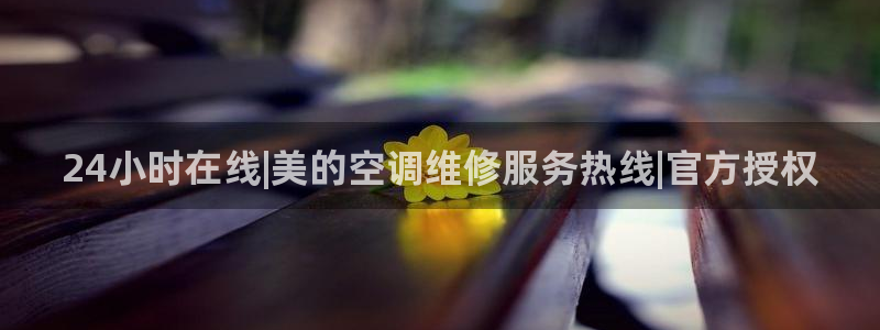 环球360最新官方入口地址查询下载