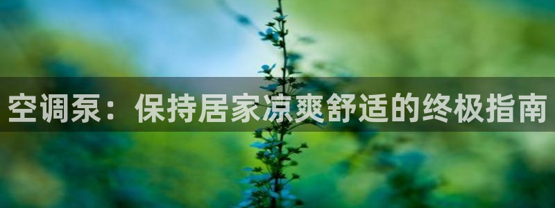 环球360手机版官方网站下载