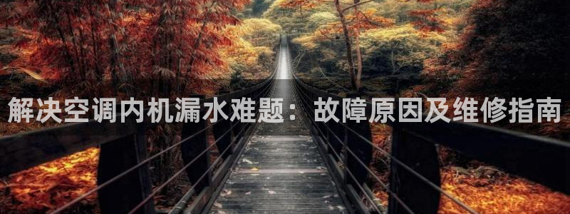 环球360的官网客服在哪里找到
