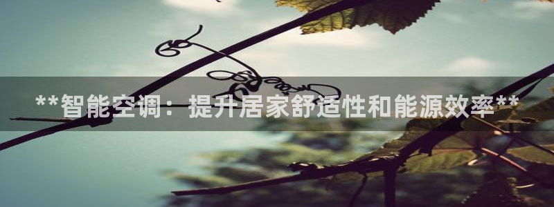 环球360官网24小时