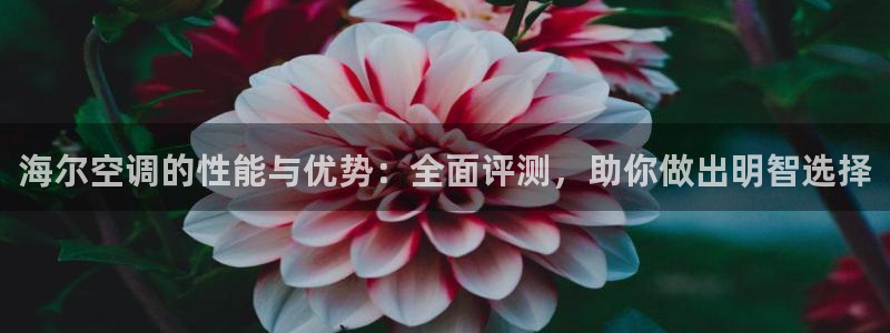 菲律宾环球360平台官网