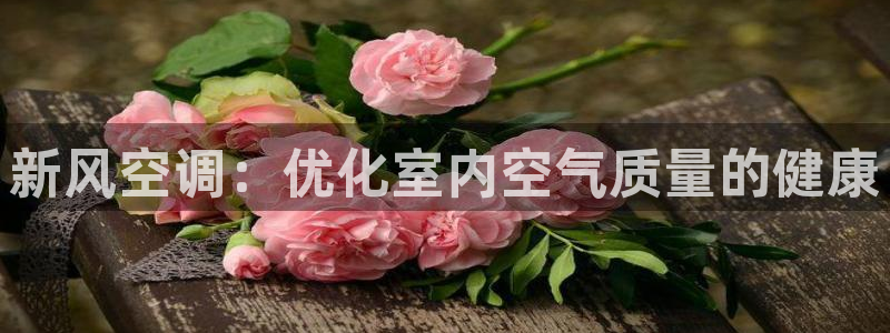 环球360官网入口