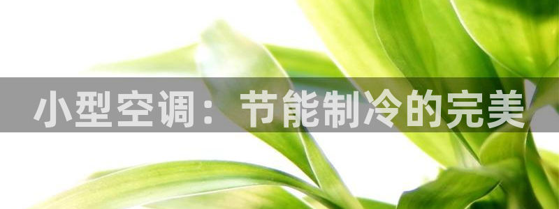 环球360官网登录页面进不去
