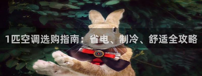 环球360全景
