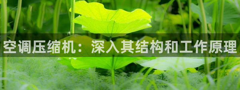 环球360国际