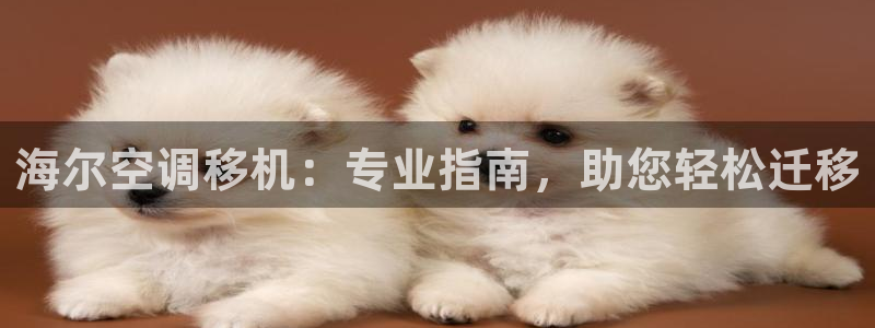 菲律宾环球360娱乐有限公司
