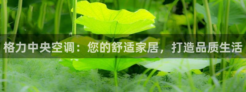 环球360论坛