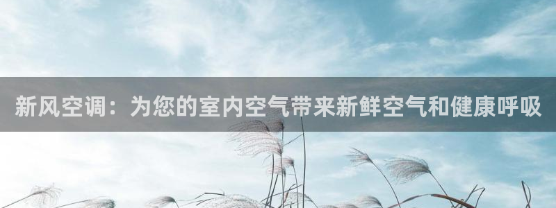 环球360分2009