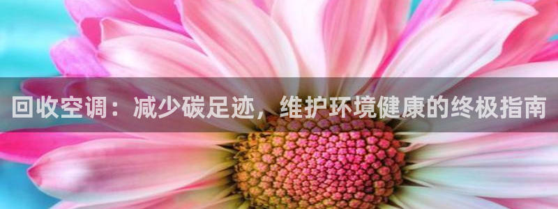 环球360案例