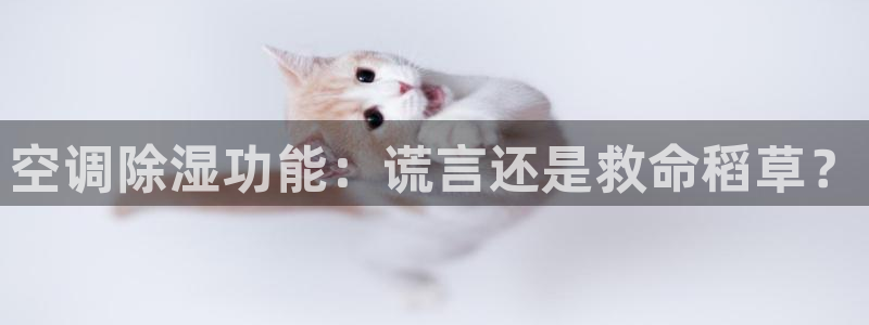 环球360代理平台官网